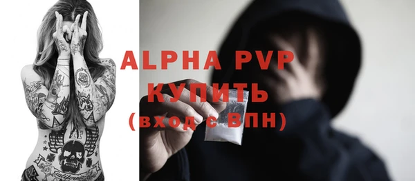 дживик Белокуриха