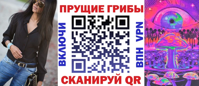 сколько стоит Торжок blacksprut ссылки Псилоцибиновые грибы Psilocybe